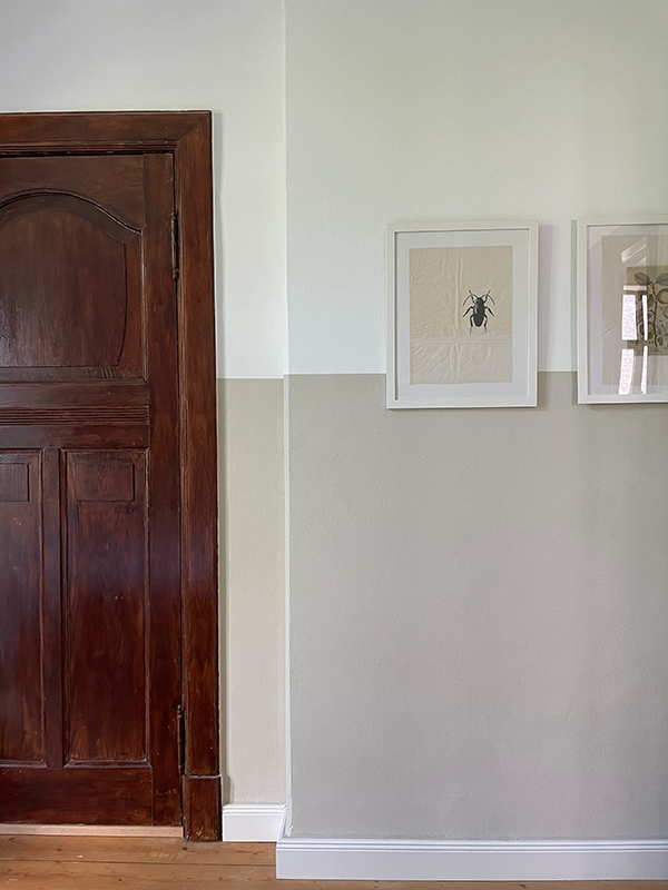 Interior wall with lower half painted light beige and upper half white, featuring a closed dark wooden door and two framed pictures, one showing a black insect.